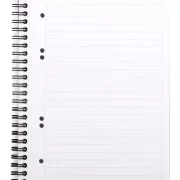 Rhodiactive Greenbook Doppelspiralbuch A5+, 16x21cm, 80 Blatt liniert mit Kopfleiste - aus Recycling-PP